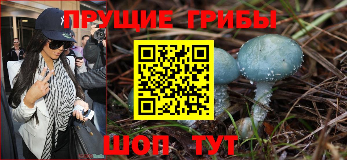 Галлюциногенные грибы MAGIC MUSHROOMS  Галлюциногенные грибы Cubensis  Ленинск-Кузнецкий  Вход с VPN 